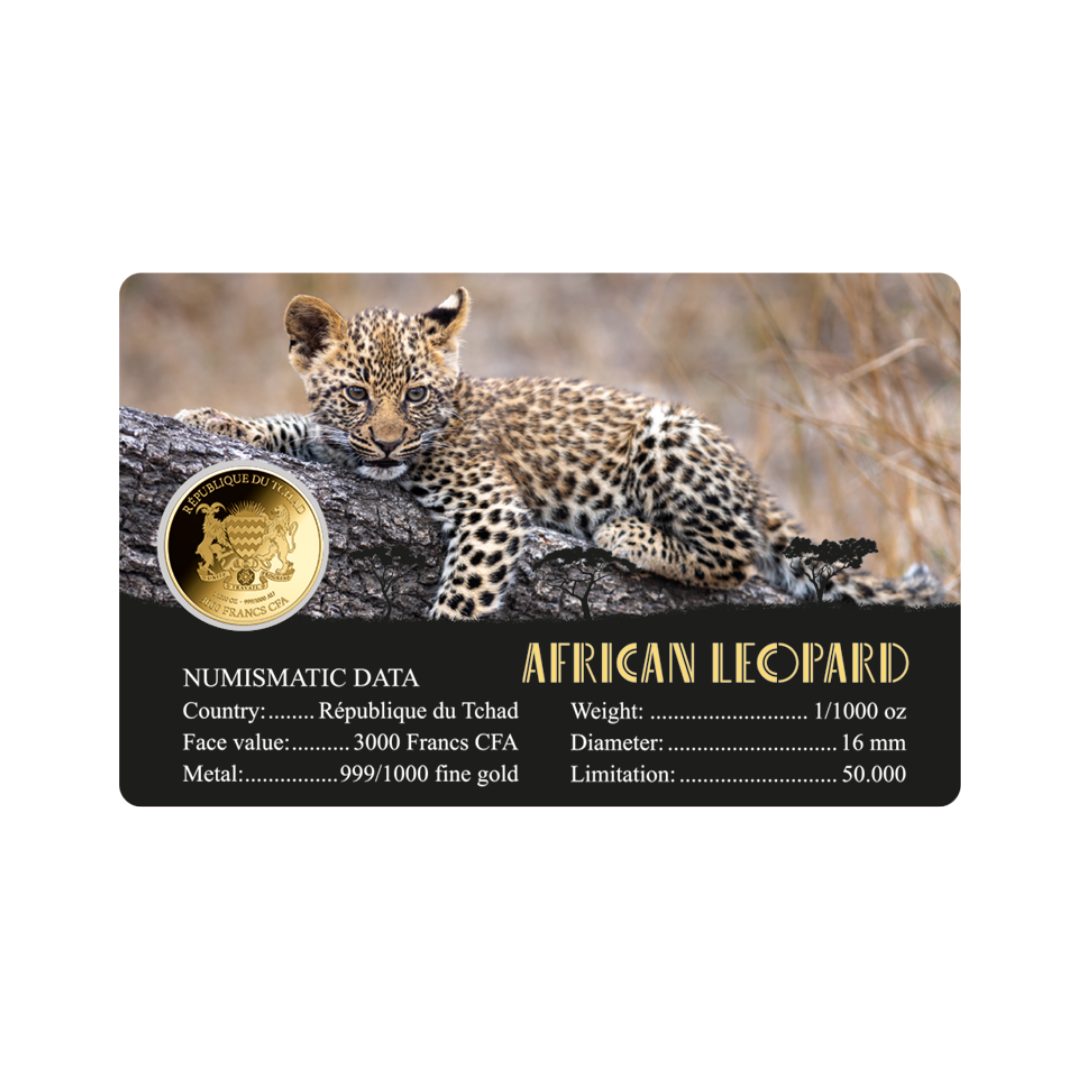 African Leopard Coin Card - Gold Gift
