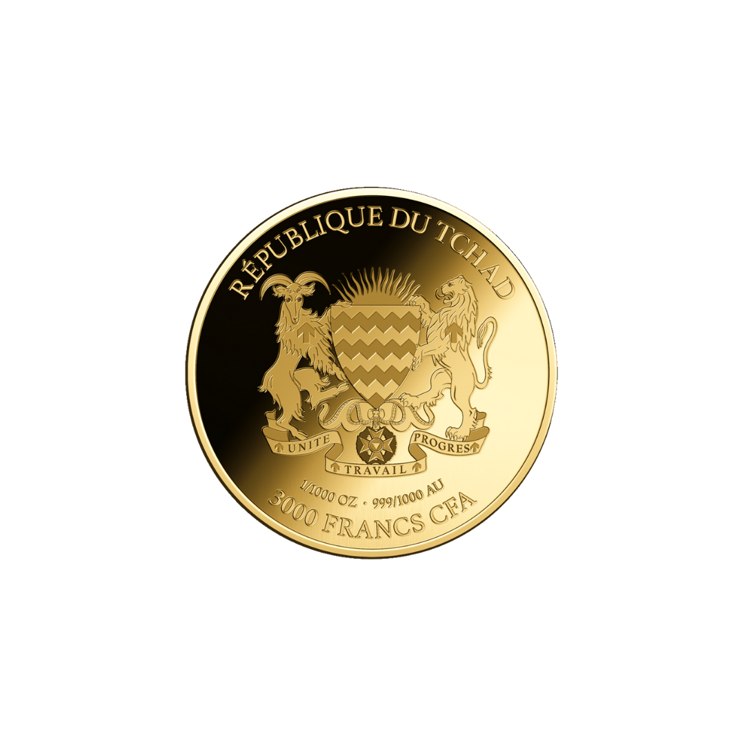 African Leopard Coin Card - Gold Gift