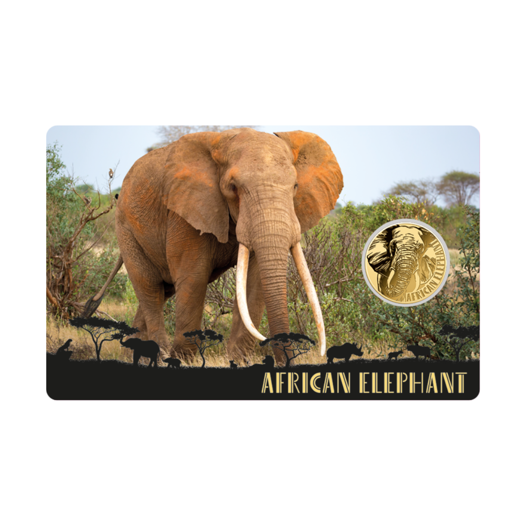 African Elephant Coin Card - Gold Gift
