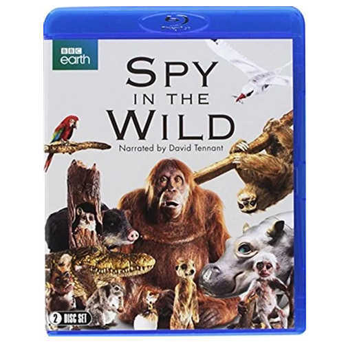 Blu-Ray Boxset - Spy In The World (U) Preowned