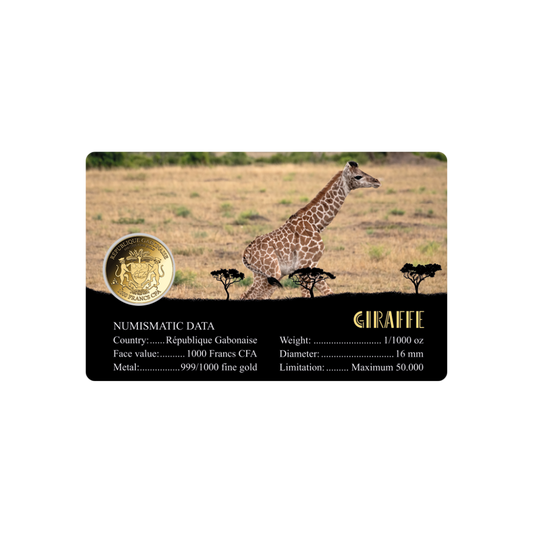 African Giraffe Coin Card - Gold Gift
