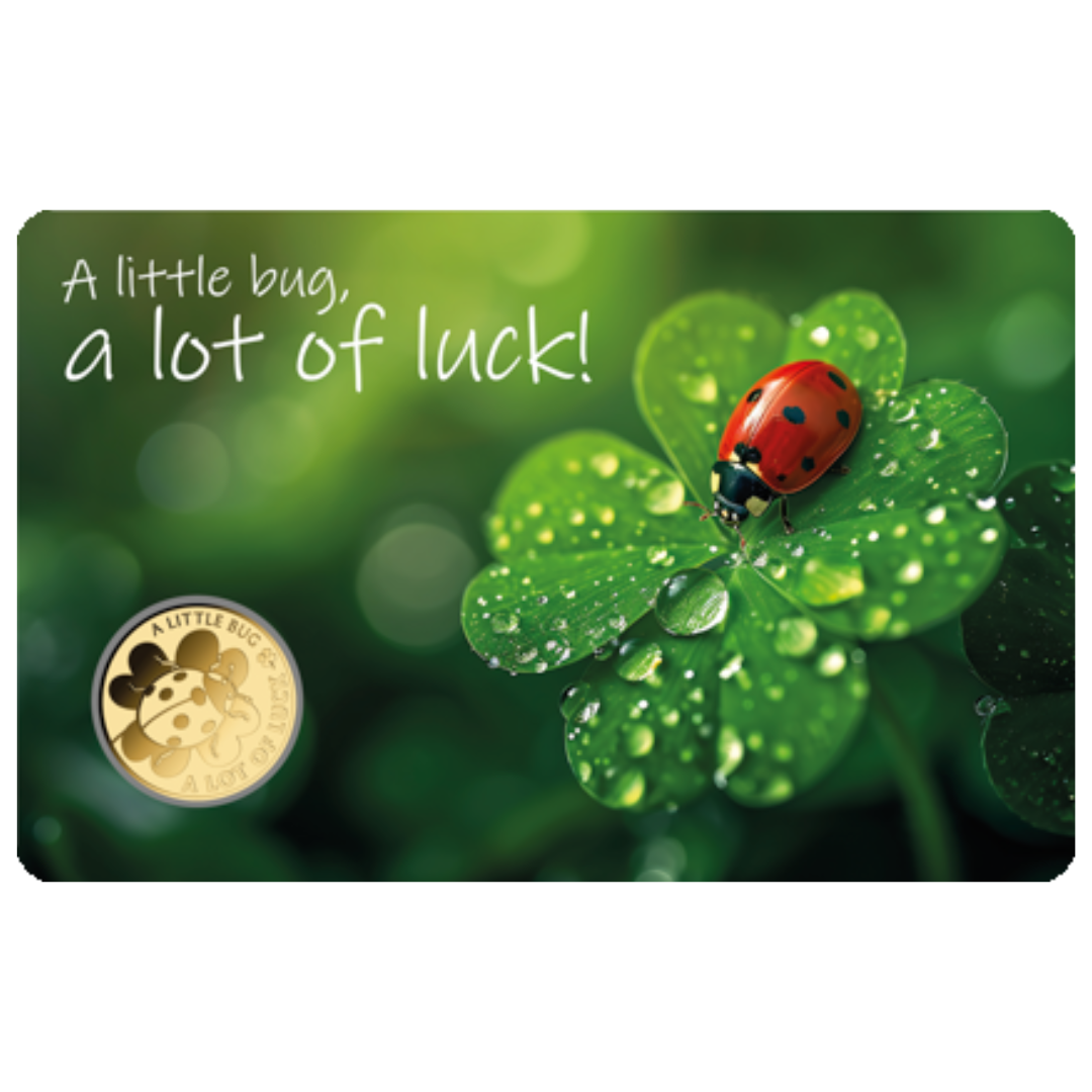 Little Bug Coin Card - Gold Gift