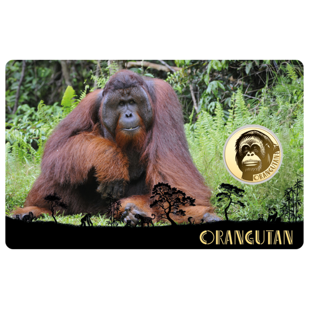 Orangutan Coin Card - Gold Gift
