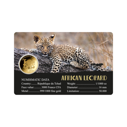 African Leopard Coin Card - Gold Gift