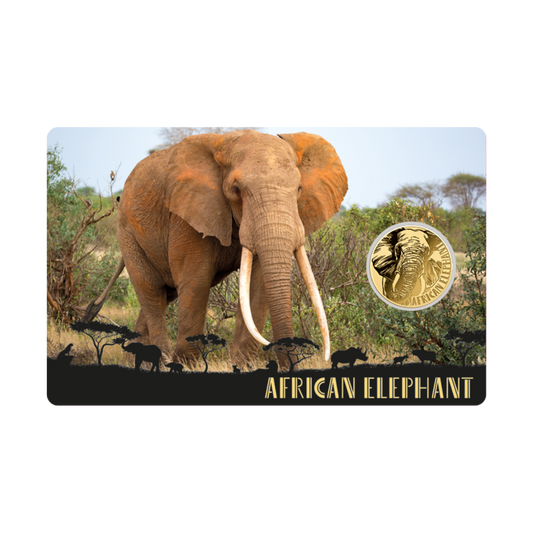 African Elephant Coin Card - Gold Gift