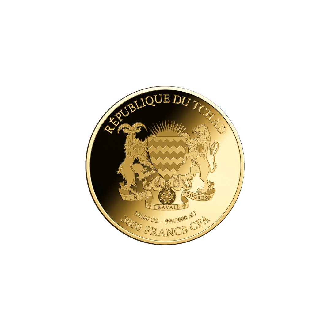 African Elephant Coin Card - Gold Gift