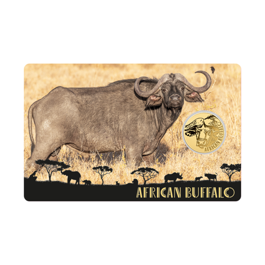 African Buffalo Coin Card - Gold Gift