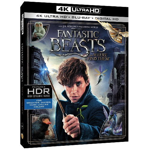 4K Blu-Ray - Fantastic Beasts (12) Preowned