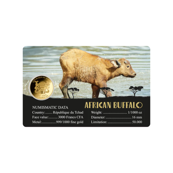 American Buffalo Coin Card 999/1000 1/1000oz - Gold Gift Preowned