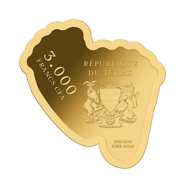 Baby Feet Coin - Gold Gift - In Gift Box