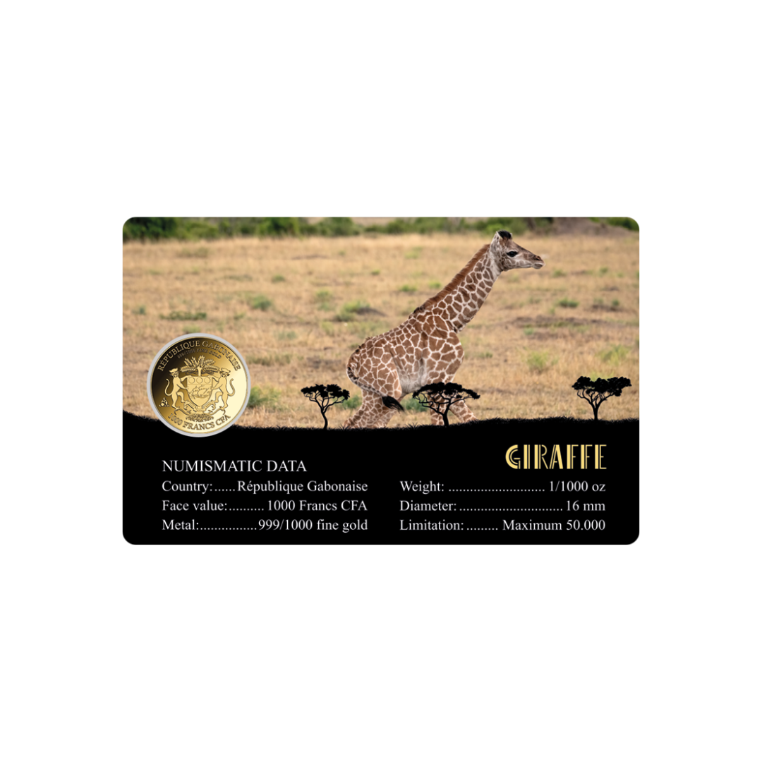 African Giraffe Coin Card - Gold Gift