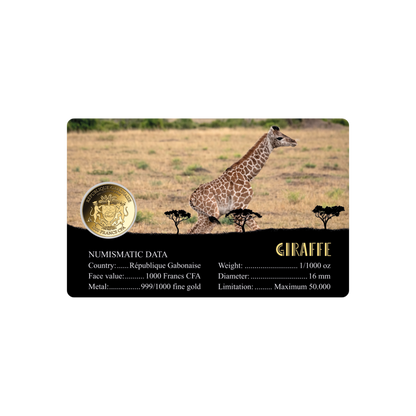 African Giraffe Coin Card - Gold Gift