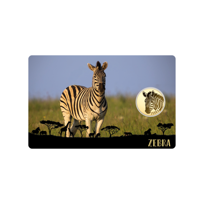 African Zebra Coin Card - Gold Gift