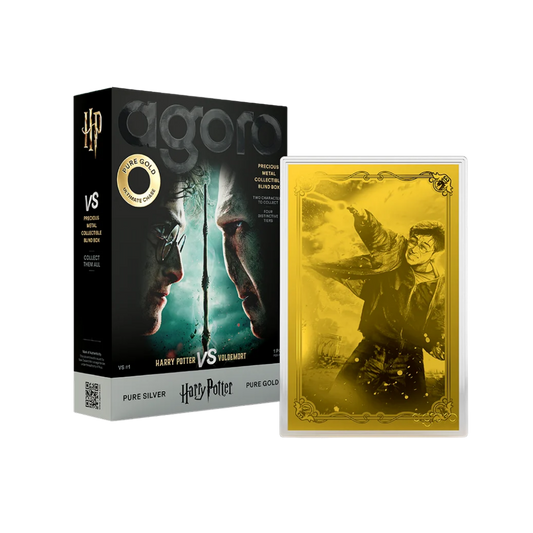 Harry Potter vs. Voldemort Blind Box 5g Silver Foil with Gold Chase